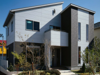 别墅建筑施工案例25